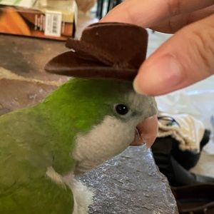 Meet your Posher, Sara